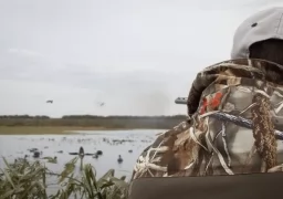 Duck hunt