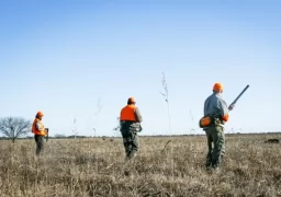 Walking the field