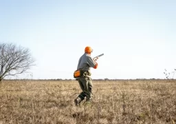 Walking the field