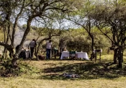 Lunch under the trees