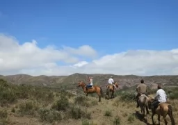 Horseback Riding in Beautiful Cordoba