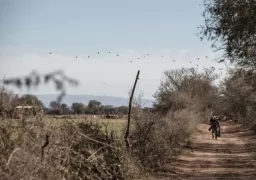 Enjoying a Great Hunt in Cordoba