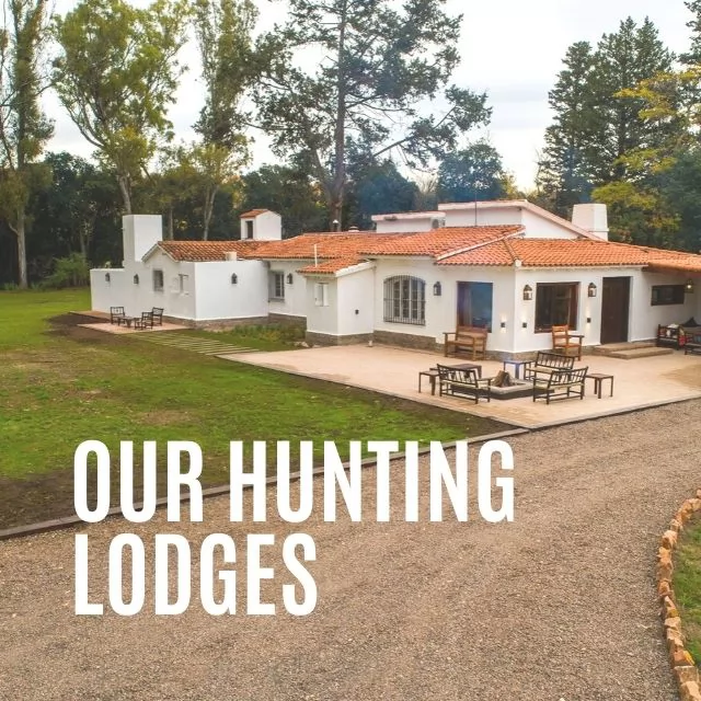 Lodges