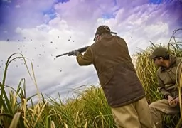 Dove Hunt Short & Quick