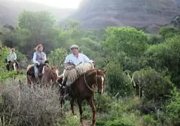 Horse Riding with the family