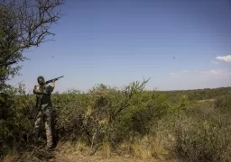 We are always back for a million doves in Argentina