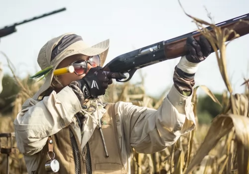 Dove Hunting by Pointer Wingshooting - Aerial Shots