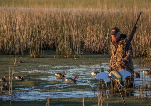 Listen to Our Guests' Experience First-hand - Las Rosas Duck Hunt