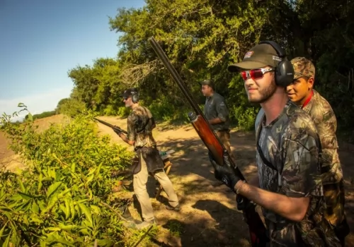 Pointer Wingshooting Institutional.